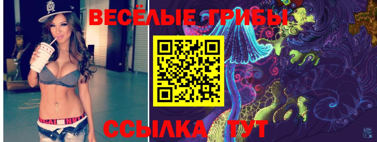магазин  наркотиков  Вход с VPN  Сертолово  Галлюциногенные грибы мицелий 
